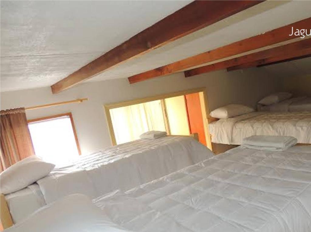 Hostel Jaguar Vina del Mar Chambre photo